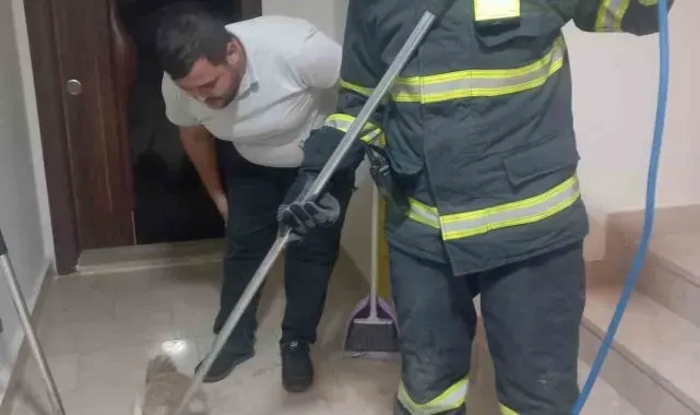 Apartmana giren tilki itfaiye ekiplerince yakalanarak doğaya salındı