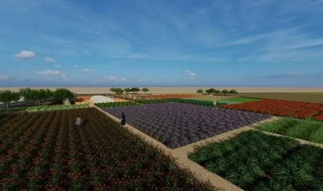 Diyarbakır'da tıbbi ve aromatik bitki bahçesi oluşturuluyor
