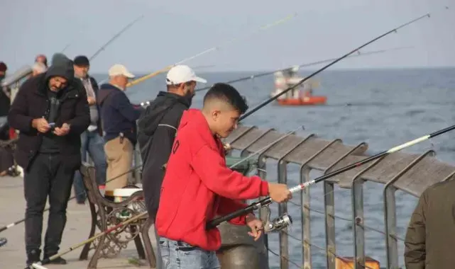 Ordu'da amatör balıkçılar rıhtıma akın etti