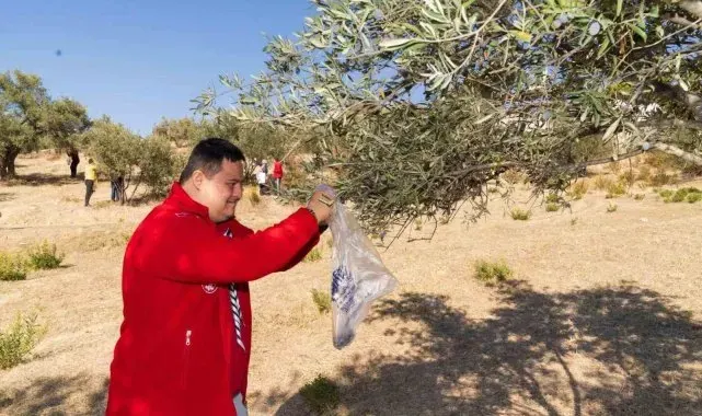 Engelli bireyler zeytin hasadı sayesinde sosyalleşti