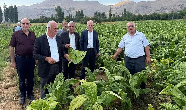 Başkan Özkan: "Çelikhan'da dolu yağışı tütün üreticilerini vurdu"