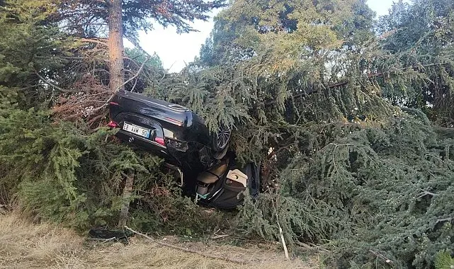 Otomobil ağaca çarptı: 1 yaralı