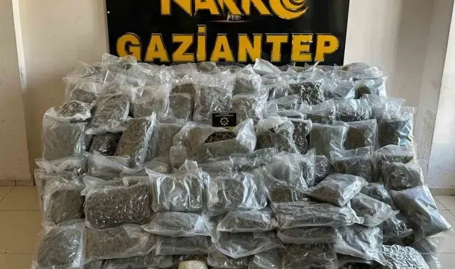 Gaziantep'te 104 kilo skunk ele geçirildi