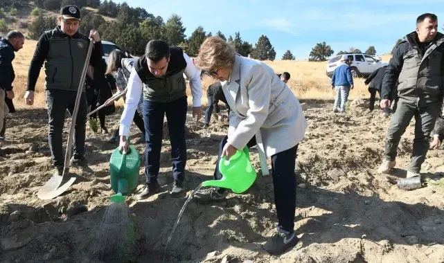 Bozkurt'ta 500 fidan toprakla buluştu