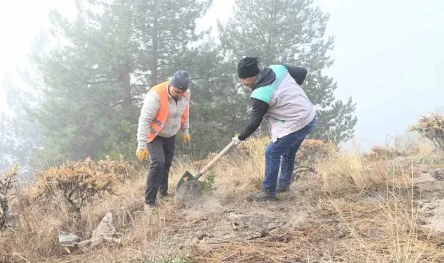 Isparta Belediyesi Gölcük Tabiat Parkı'nda fidanlar toprakla buluşturuldu