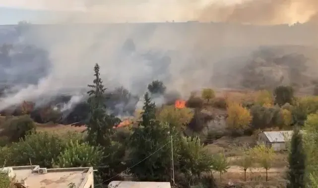 Anız yangını bahçelere sıçradı