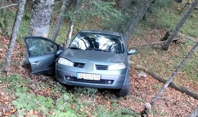 Yedigöller yolunda otomobil ormanlık alana uçtu