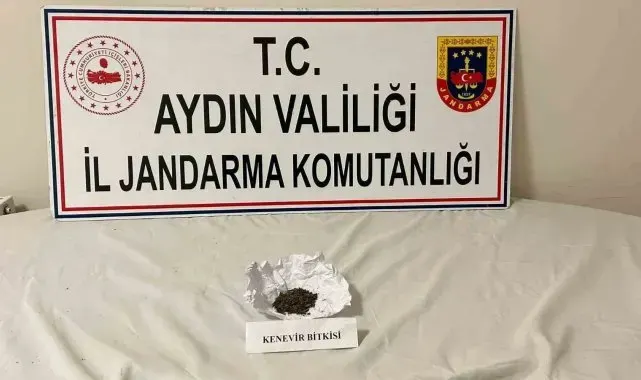 Aydın jandarmasından uyuşturucu operasyonu