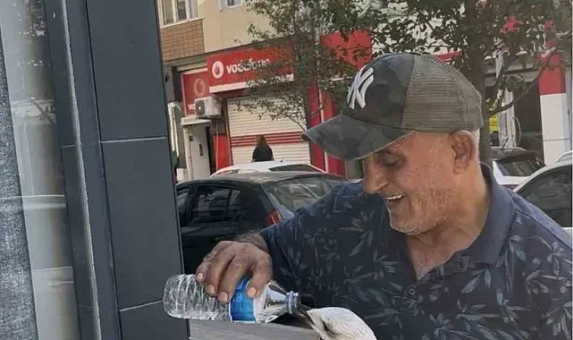 Tekirdağ'da bitkin düşen martı kolunu ısırdı şefkatini eksik etmedi