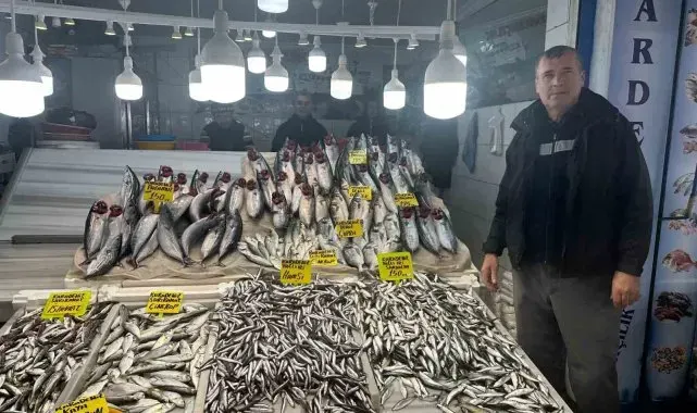 Balık tezgahlarında Hamsi, Çinekop ve Palamut bolluğu