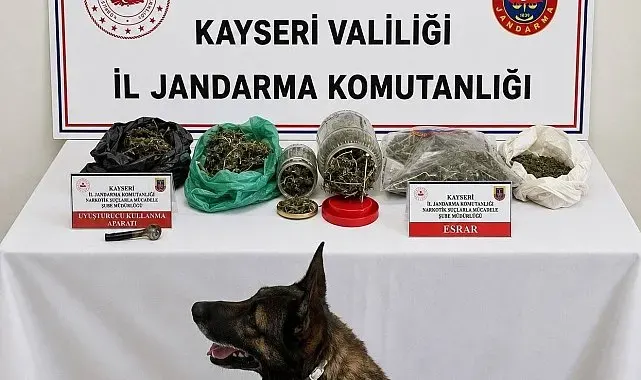 Jandarma operasyonunda bin 200 gram uyuşturucu ele geçirildi