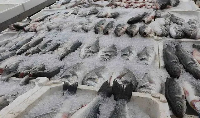 Adana'da sıcak havalar balık satışlarını düşürdü