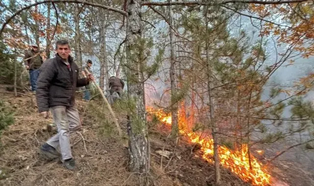 Simav ve Hisarcık'ta orman yangınları