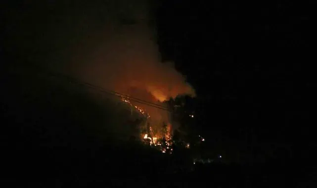 Pozantı'da orman yangını