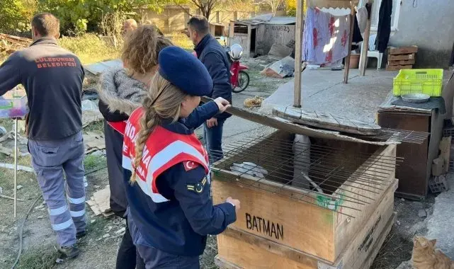 Kırklareli'nde yasaklı ırk köpek besleyen kişiye 317 bin 544 lira ceza