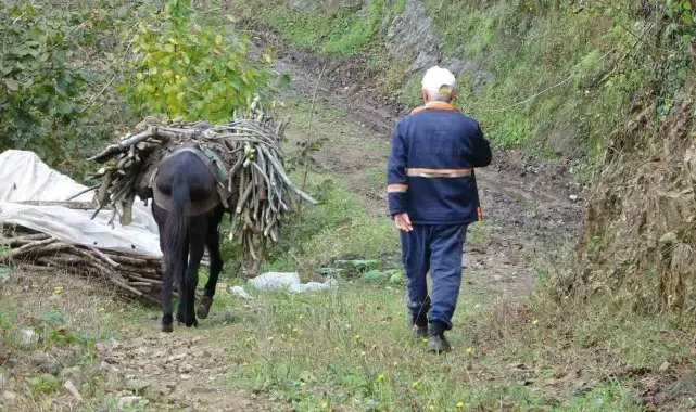 Giresun'un köylerinde katırcılık sona eriyor