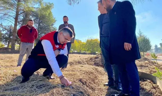 Balıkesir'de Safran ve Salep Üretimi Denemeleri Başladı