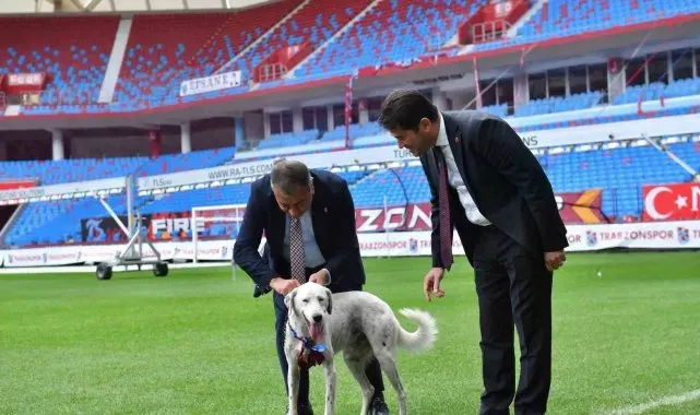'Zibidi' Trabzonspor'a transfer oldu, ismi 'Fırtına' olarak değişti