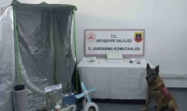 Nevşehir'de "Narkoçelik" operasyonu: 7 gözaltı