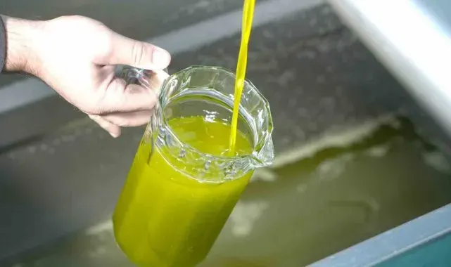 Zeytinyağı alırken dikkat, sahtesi nasıl anlaşılır