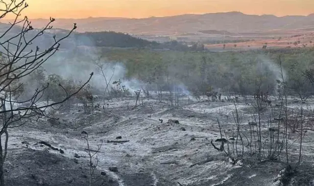 Yenişehir'de çıkan yangın kontrol altına alındı