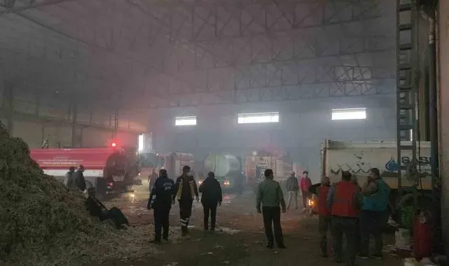 Hatay'da pamuk fabrikasında yangın
