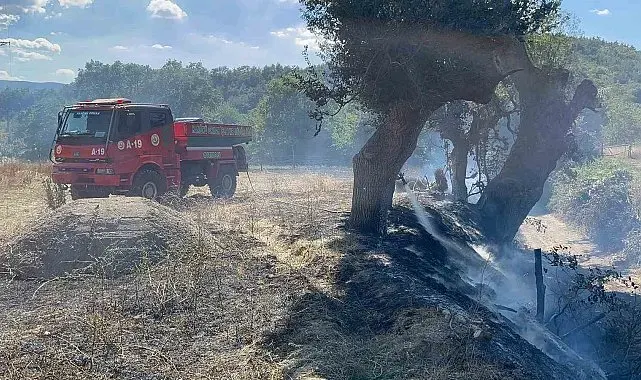 Kastamonu'da çıkan örtü yangını söndürüldü