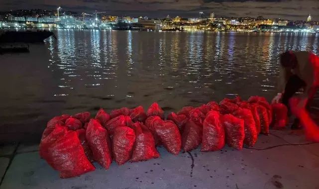 Kadıköy'de 1 ton kaçak midye ele geçirildi