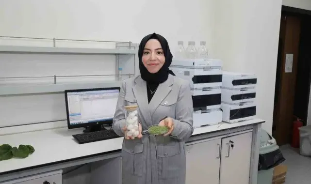 BTÜ'de diyabet hastalarına özel gıda kaplaması geliştirildi