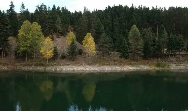 Sinop'ta doğanın renk cümbüşü mest etti