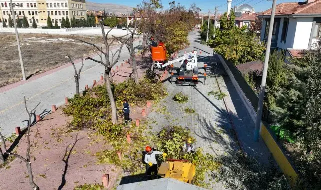 Selçuklu'da ağaç budama çalışmaları devam ediyor