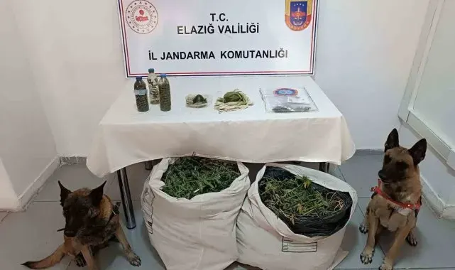 Çakmak gazıyla esrarın kalitesini arttırmaya çalışmışlar: Elazığ'da uyuşturucu tacirlerine darbe