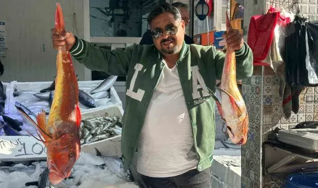 Sinop'ta 6 kilogramlık kırlangıç balığı yakalandı