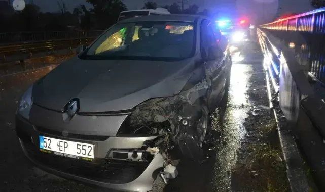 Kediye çarpmamak için bariyerlere çarptı: 2 yaralı