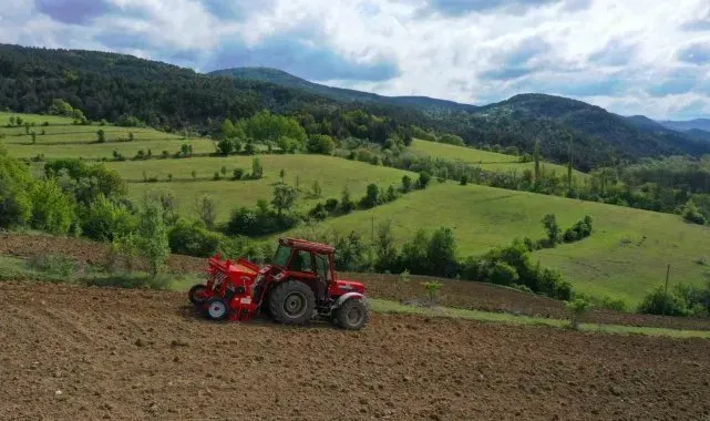 Ordu'da boş arazilerden bugün bereket fışkırıyor