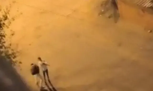 Şehir magandası gözaltına alındı