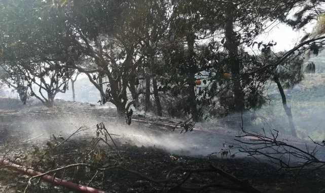 Samandağ'da çıkan orman yangını söndürüldü