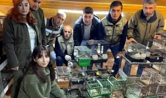Bartın'da yasa dışı üretimde kullanılan kuşlar doğaya salındı