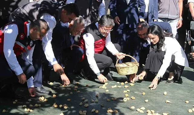 Bakan Yumaklı Aydın'da incir hasadına katıldı