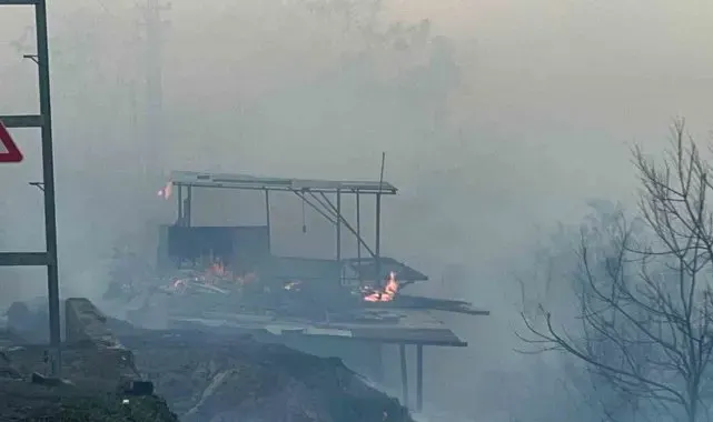 Hatay'da orman yangını evlere sıçradı