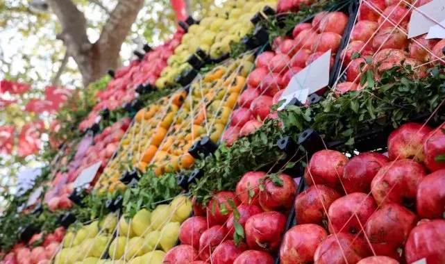 Bilecik nar üretiminde Türkiye'de 16'ncı sırada