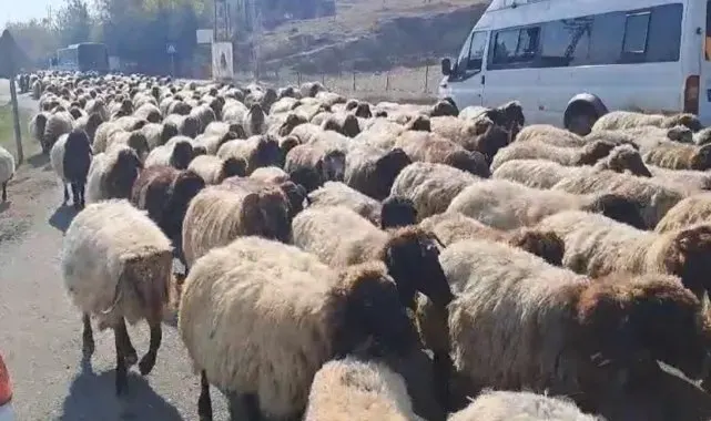 Göçerlerin yaylalardan dönüş yolculuğu hız kazandı