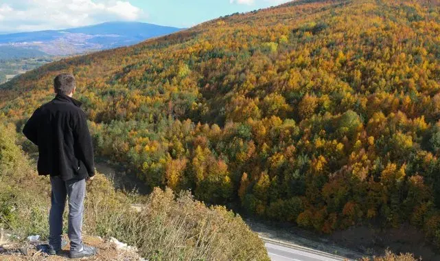 Bolu'nun yükseklerinde renk cümbüşü