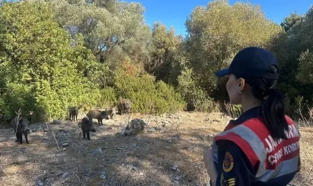 Dilek Yarımadası'nda jandarma denetimi