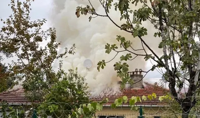 Sakarya'da tek katlı evin çatısı alevlere teslim oldu