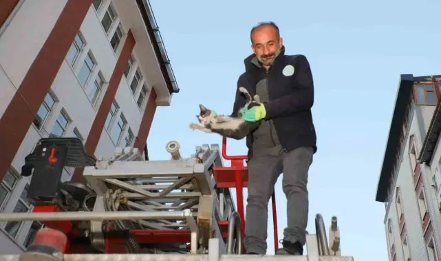 Hakkari'de 4 katlı binada mahsur kalan yavru kedi kurtarıldı