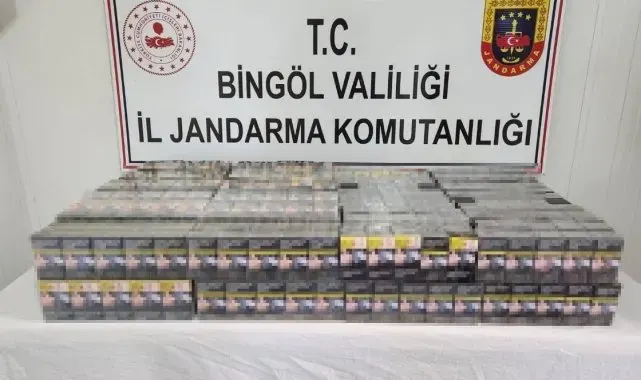 Bingöl'de kaçak kazı yapan 2 kişi yakalandı