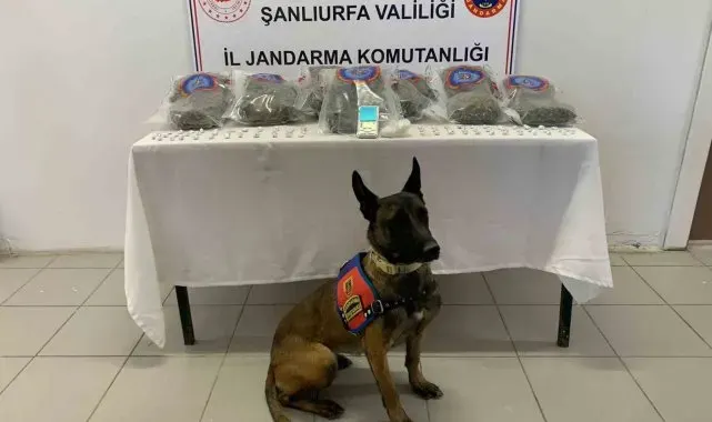 Jandarmadan uyuşturucu operasyonu: 3 gözaltı