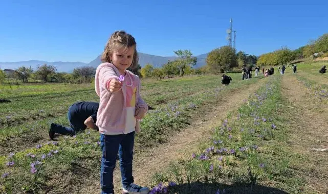 Cumhuriyet Bayramı tatili Safranbolu'ya yaradı