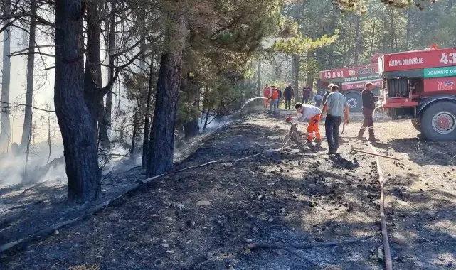 Kütahya'da anız yangını ormana sıçradı
